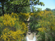 France-Provence-Colors of Provence Ride